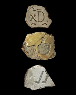 Mu-tantes. Festival de experimentación artística.