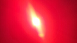 Mu-tantes. Festival de experimentación artística.