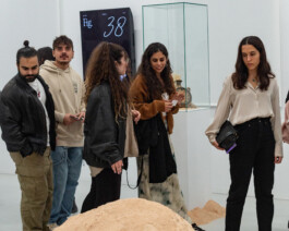 Mu-tantes. Festival de experimentación artística.