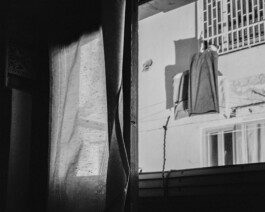 Mu-tantes. Festival de experimentación artística.