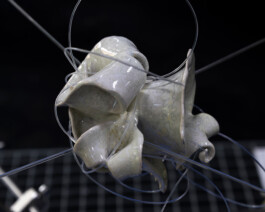 Mu-tantes. Festival de experimentación artística.