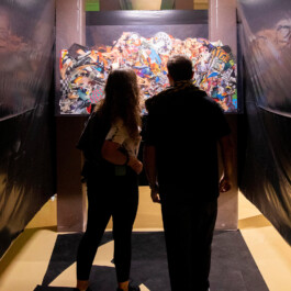 Mu-tantes. Festival de experimentación artística.