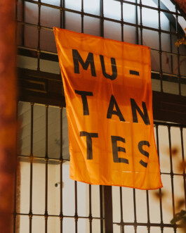 Mu-tantes. Festival de experimentación artística.