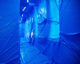 Mu-tantes. Festival de experimentación artística.