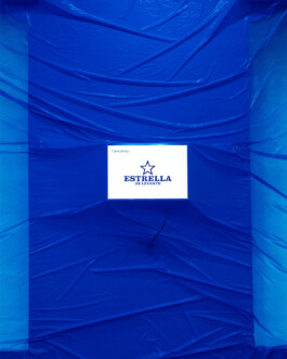 Mu-tantes. Festival de experimentación artística.